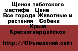 Щенок тибетского мастифа › Цена ­ 60 000 - Все города Животные и растения » Собаки   . Крым,Красногвардейское